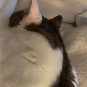 Meet your Posher, Yolanda